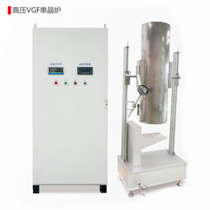 �߉�VGF�ξ��t