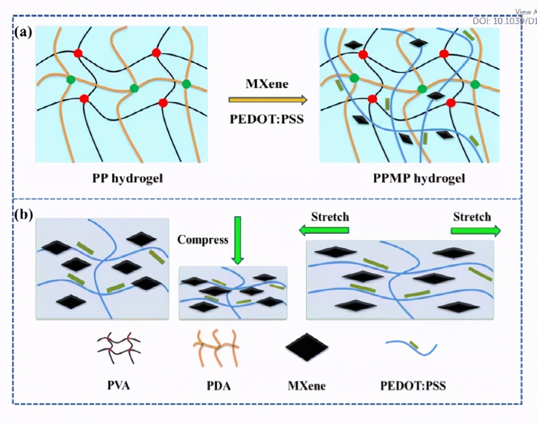 快速自愈聚乙烯醇水凝膠作為高靈敏度應(yīng)變/壓力傳感器的構(gòu)建塊