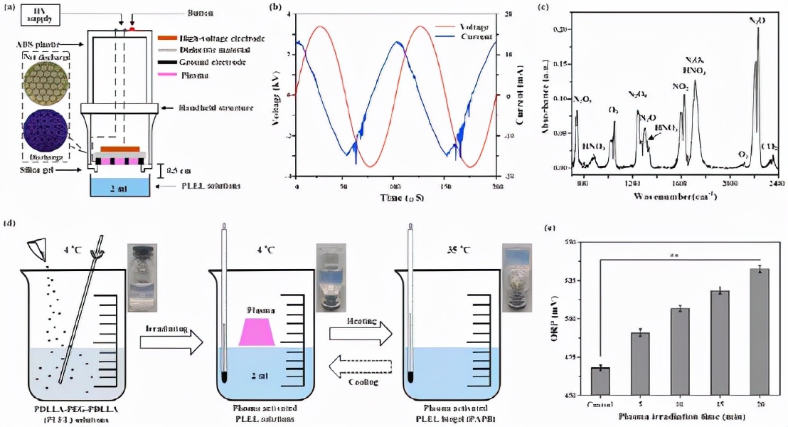 《Biomaterials》西安交通大學(xué)劉定新：等離子體活化熱敏生物凝膠