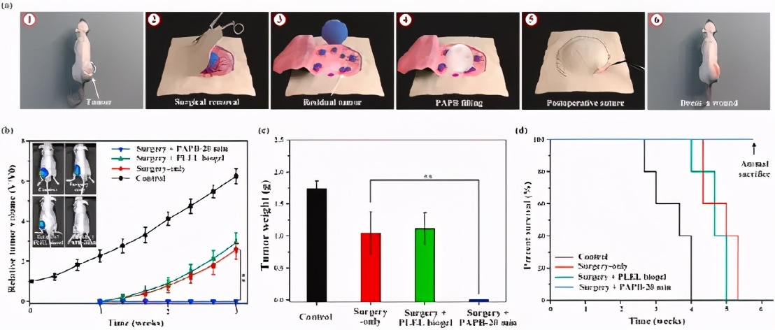 《Biomaterials》西安交通大學(xué)劉定新：等離子體活化熱敏生物凝膠