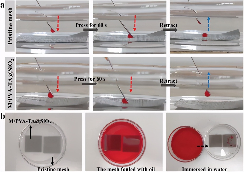 制備用于油/水分離的水凝膠涂料、一種溶劑調節的氫鍵交聯策略