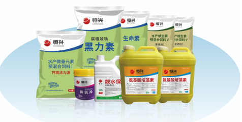 恒興明星產品驚艷2025中國飼料工業展覽會，生物飼料研發引領行業新風向